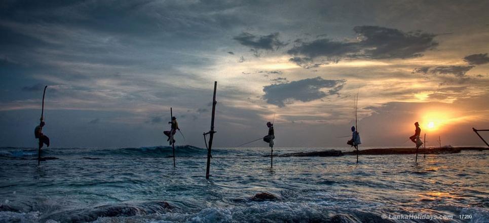 Discover Sri Lanka  6Ds-5Ns